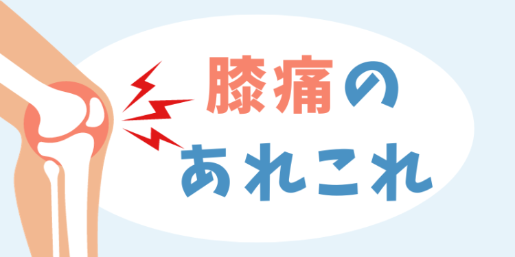 cook 今日なに作ろ？